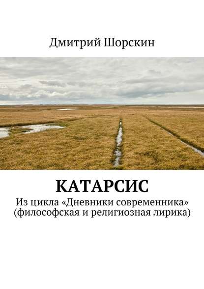 Катарсис. Из цикла «Дневники современника» (философская и религиозная лирика) — Дмитрий Юрьевич Шорскин