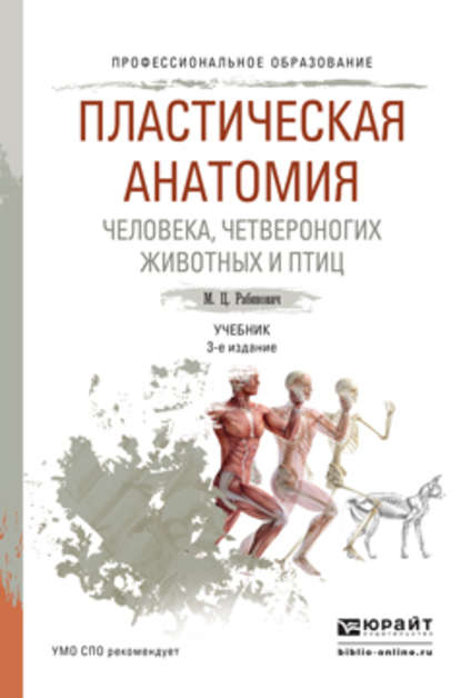 Пластическая анатомия человека, четвероногих животных и птиц 3-е изд., испр. и доп. Учебник для СПО - Михаил Цезаревич Рабинович