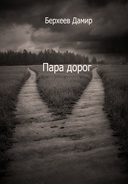 Пара дорог — Дамир Берхеев