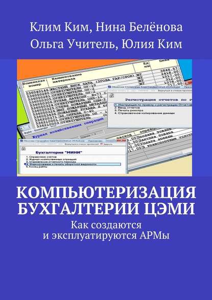 Компьютеризация бухгалтерии ЦЭМИ – теория и практика — Клим Владимирович Ким