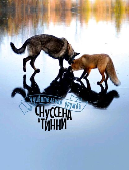 Удивительная дружба Снуссена и Тинни - Тургейр Берге