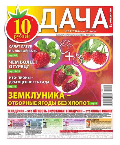 Дача Pressa.ru 11-2016 - Редакция газеты Дача Pressa.ru