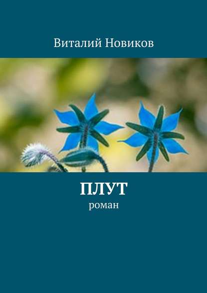 Плут. роман — Виталий Новиков