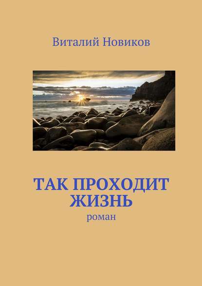 Так проходит жизнь. роман — Виталий Новиков