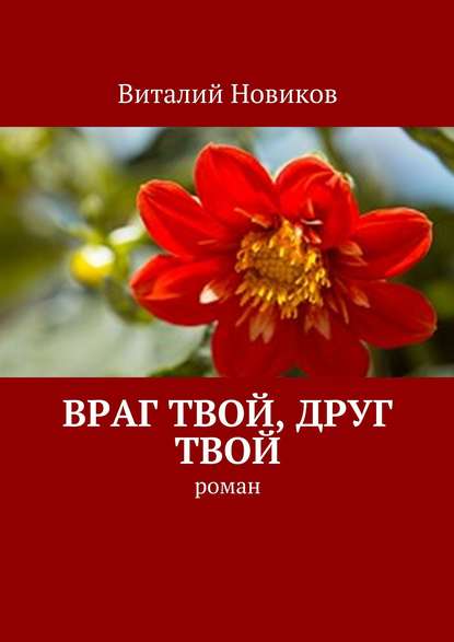 Враг твой, друг твой. Роман — Виталий Новиков