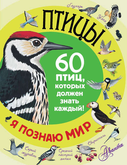 Птицы. 60 птиц, которых должен знать каждый - Группа авторов