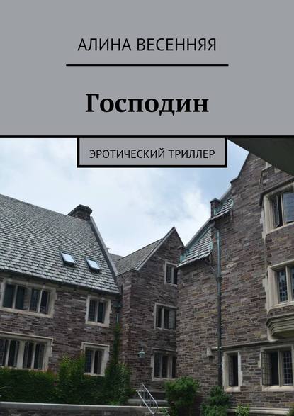 Господин. Эротический триллер — Алина Весенняя