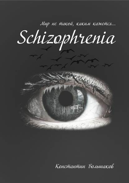 Schizophrenia. Мир не такой, каким кажется — Константин Большаков