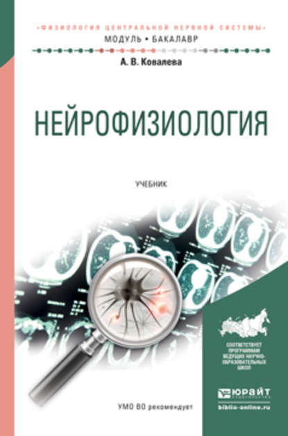 Нейрофизиология. Учебник для академического бакалавриата - Анастасия Владимировна Ковалева