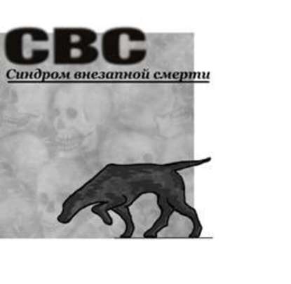 СВС (Синдром Внезапной Смерти) - Бабулин Константин Леонидович