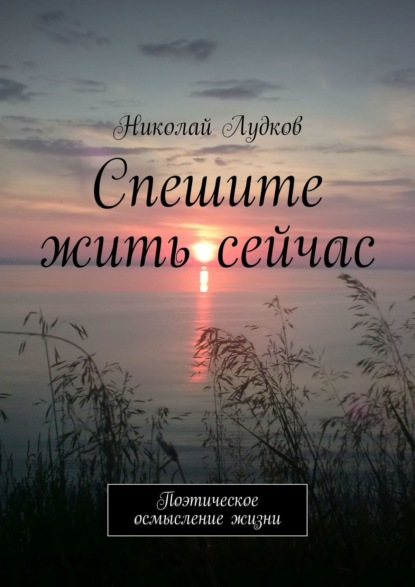 Спешите жить сейчас. Поэтическое осмысление жизни — Николай Анатольевич Лудков