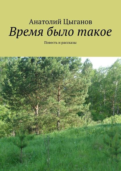 Время было такое. Повесть и рассказы - Анатолий Цыганов