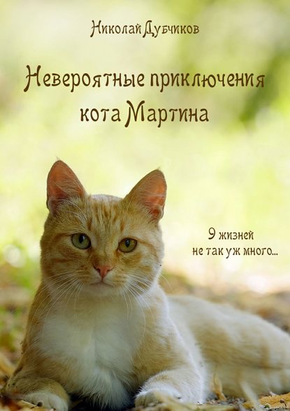 Невероятные приключения кота Мартина — Николай Дубчиков