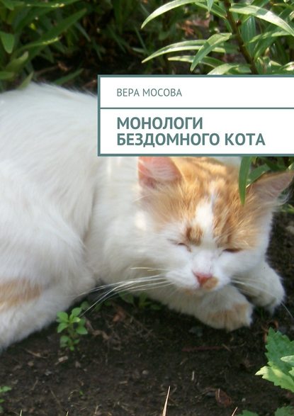 Монологи бездомного кота — Вера Евгеньевна Мосова