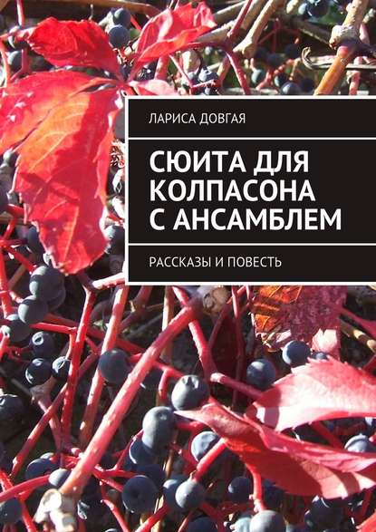 Сюита для колпасона с ансамблем. Рассказы и повесть - Лариса Павловна Довгая