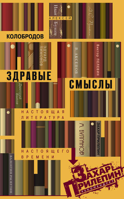 Здравые смыслы. Настоящая литература настоящего времени - Алексей Колобродов