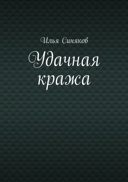 Удачная кража - Илья Синяков