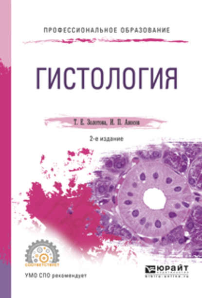 Гистология 2-е изд., испр. и доп. Учебное пособие для СПО - Татьяна Евгеньевна Золотова