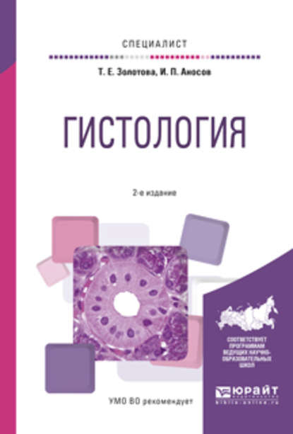 Гистология 2-е изд., испр. и доп. Учебное пособие для вузов - Татьяна Евгеньевна Золотова