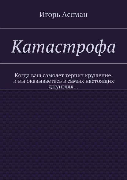 Катастрофа — Игорь Ассман