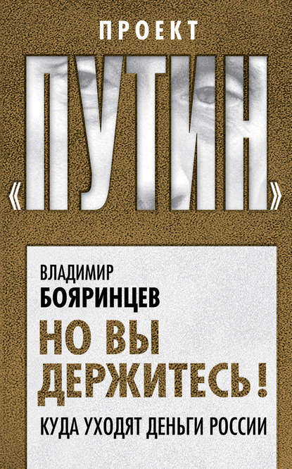 Но вы держитесь! Куда уходят деньги России - Владимир Бояринцев