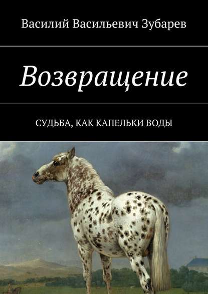 Возвращение. Судьба, как капельки воды — Василий Васильевич Зубарев