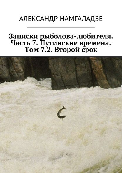 Записки рыболова-любителя. Часть 7. Путинские времена. Том 7.2. Второй срок — Александр Намгаладзе