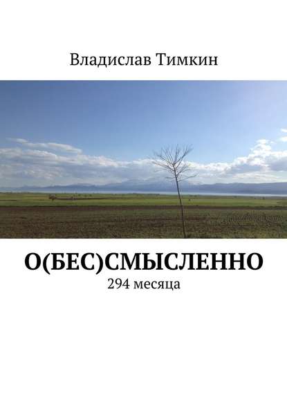 О(бес)смысленно. 294 месяца — Владислав Тимкин