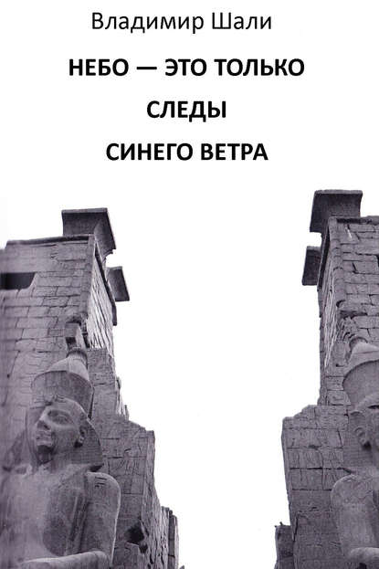 Небо – это только следы синего ветра — Владимир Шали