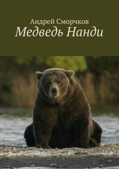 Медведь Нанди — Андрей Сморчков