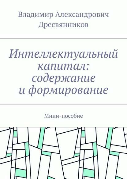 Интеллектуальный капитал: содержание и формирование. Мини-пособие - Владимир Александрович Дресвянников