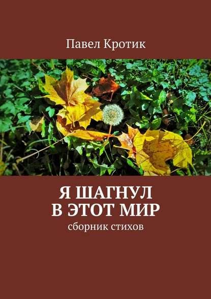 Я шагнул в этот мир. Сборник стихов - Павел Кротик