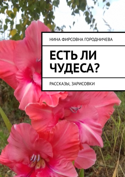 Есть ли чудеса? Рассказы, зарисовки — Нина Фирсовна Городничева