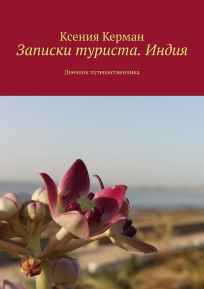 Записки туриста. Индия. Дневник путешественника — Оксана Анатольевна Васюнина