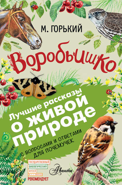 Воробьишко. Рассказы с вопросами и ответами для почемучек — Максим Горький