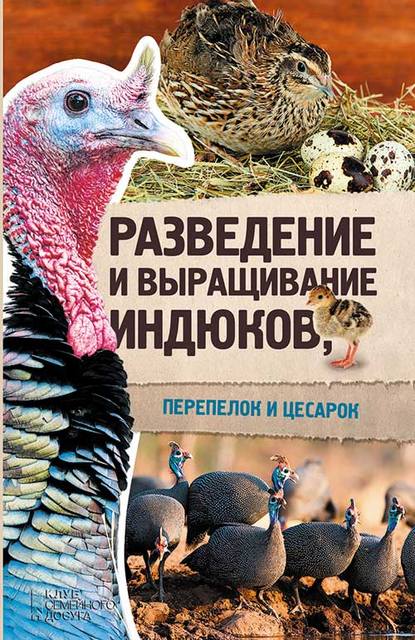 Разведение и выращивание индюков, перепелок и цесарок - Группа авторов