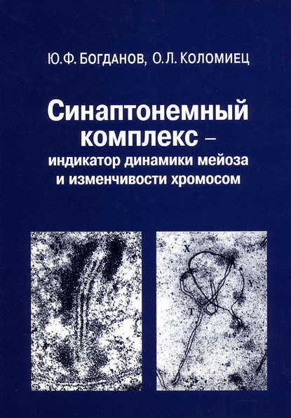 Синаптонемный комплекс – индикатор динамики мейоза и изменчивости хромосом - Ю. Ф. Богданов