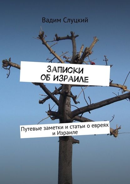 Записки об Израиле. Путевые заметки и статьи о евреях и Израиле - Вадим Слуцкий