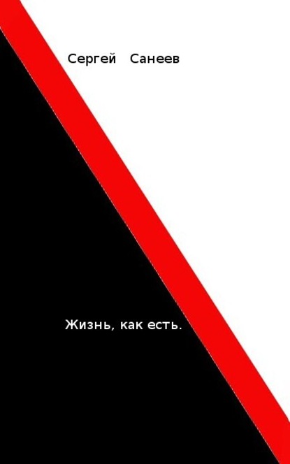 Жизнь, как есть — Сергей Санеев