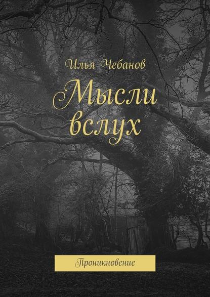 Мысли вслух. Проникновение - Илья Чебанов