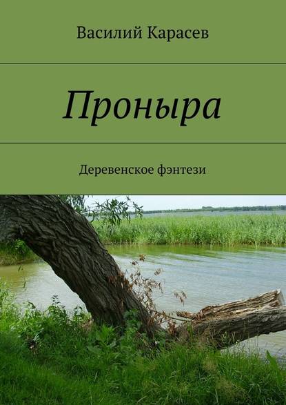 Проныра. Деревенское фэнтези - Василий Карасев