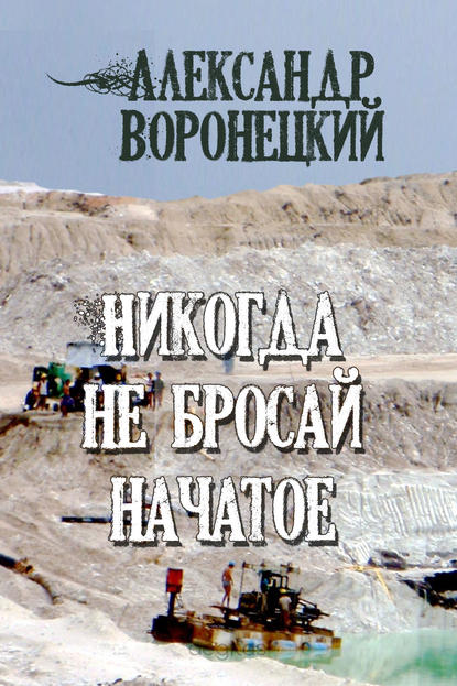 Никогда не бросай начатое - Александр Воронецкий