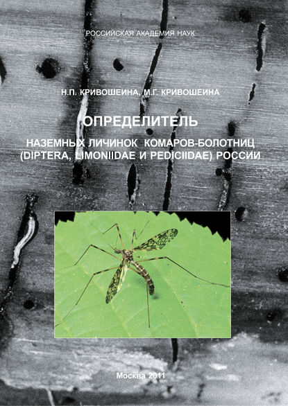 Определитель наземных личинок комаров-болотниц (Diptera, Limoniidae и Pediciidae) России - М. Г. Кривошеина