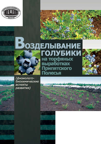 Возделывание голубики на торфяных выработках Припятского Полесья - Ж. А. Рупасова