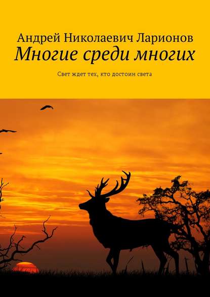 Многие среди многих. Свет ждет тех, кто достоин света — Андрей Николаевич Ларионов