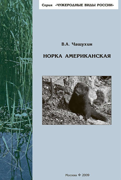 Норка американская - В. А. Чащухин