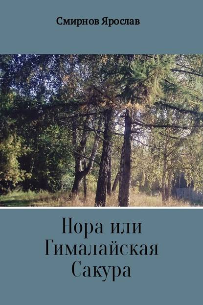 Нора или Гималайская Сакура — Ярослав Владимирович Смирнов