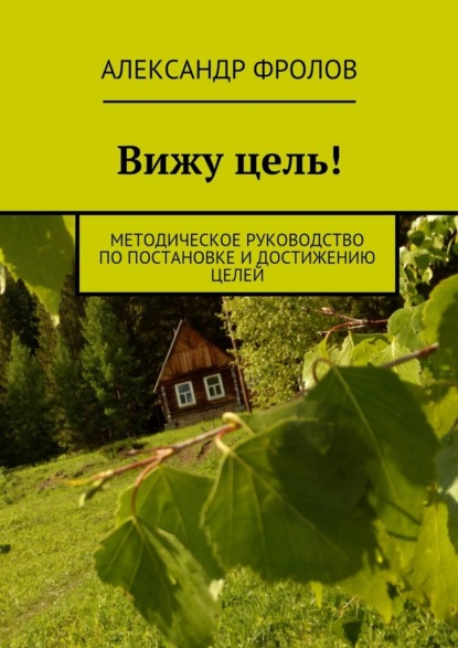 Вижу цель! Методическое руководство по постановке и достижению целей - Александр Фролов