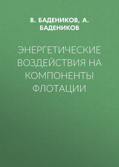 Энергетические воздействия на компоненты флотации - В. Бадеников