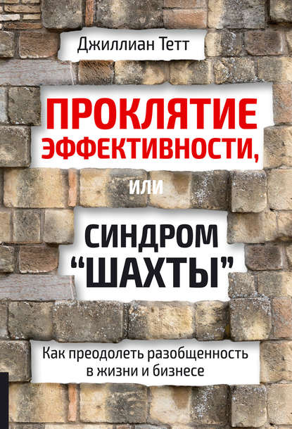 Проклятие эффективности, или Синдром «шахты». Как преодолеть разобщенность в жизни и бизнесе — Джиллиан Тетт